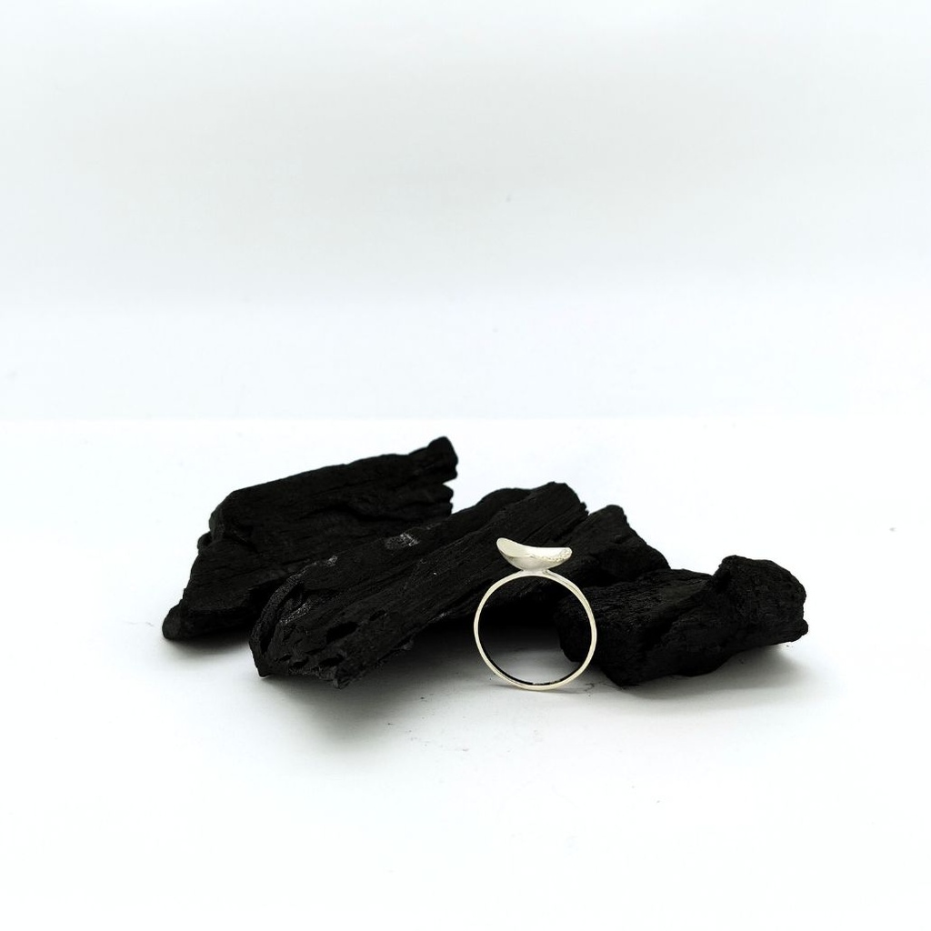 Changer ses intentions - Bague S