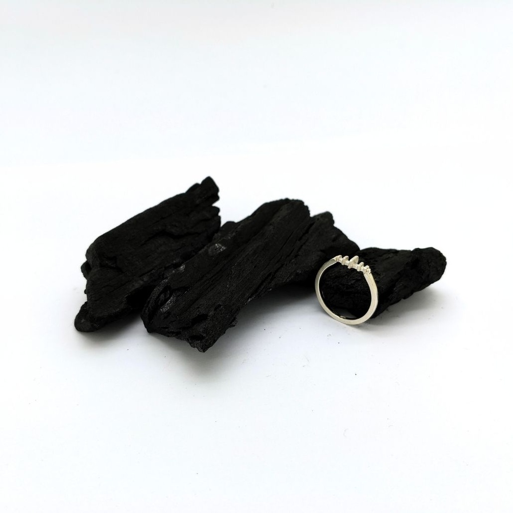 Mon temple, mon âme - Bague thème horizontal