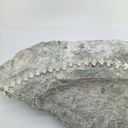 Coquelicots - Bracelet articulé fleurs