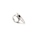 Aantrekkelijkheid - Ring