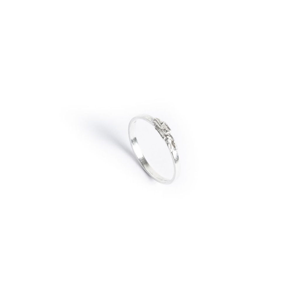 De kwetsbare kracht - Ring S