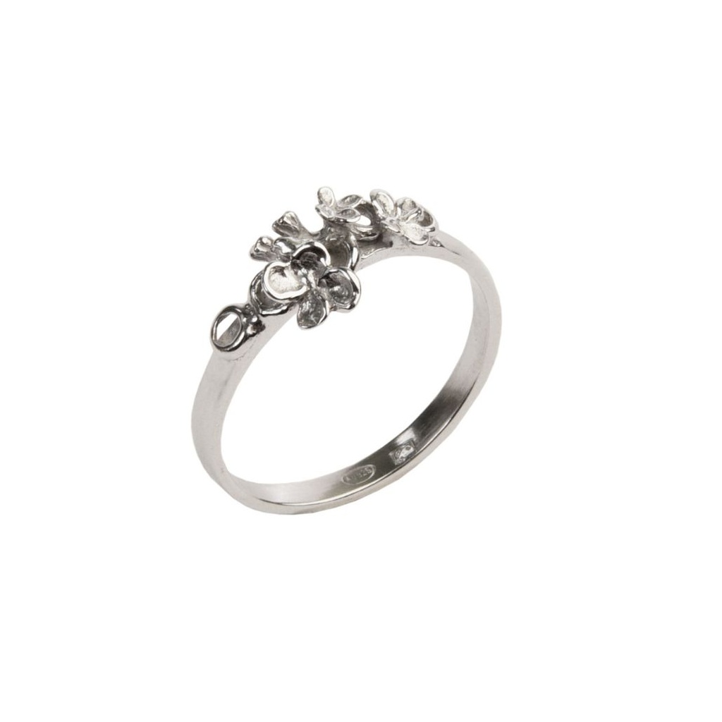 De liefdesbanden - Ring