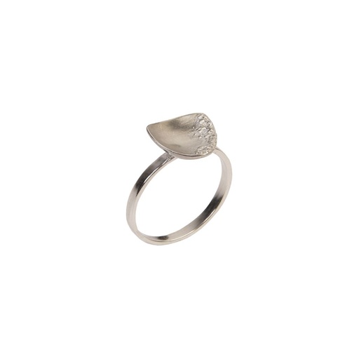 Changer ses intentions - Bague S