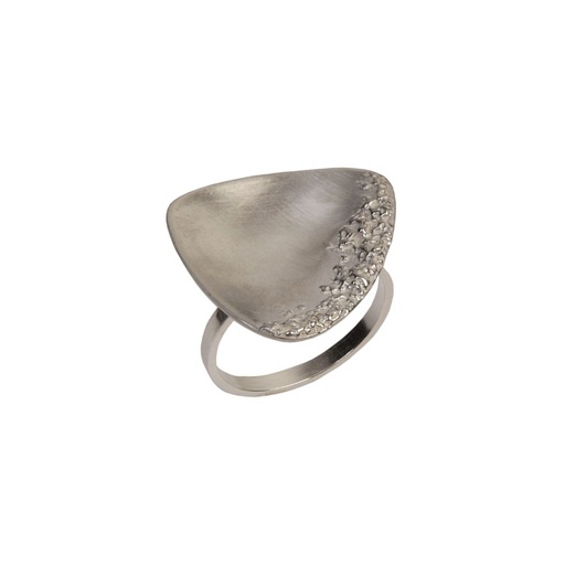 Intenties veranderen - Ring XL